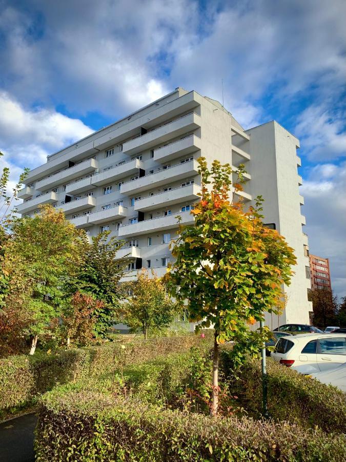 בראשוב Blue Mountain Residence מראה חיצוני תמונה